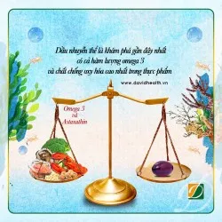 BÍ QUYẾT CHO NÃO BỘ CƯỜNG TRÁNG KHÔNG CẦN ĐẾN THUỐC