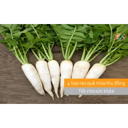 4 loại rau củ mùa thu bổ dưỡng không nên bỏ lỡ