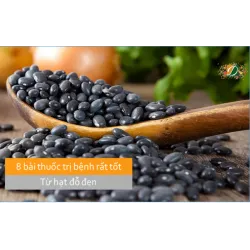 Chuyên gia đông y tiết lộ 8 bài thuốc trị bệnh rất tốt từ hạt đỗ đen