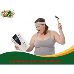 ĐỪNG ĐỔ LỖI CHO GEN NẾU BẠN KHÔNG THỂ GIẢM CÂN