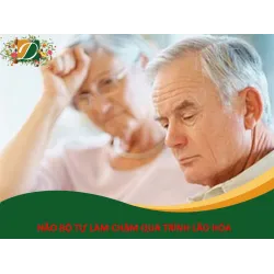 NÃO CHÚNG TA LÀM CHẬM NHỮNG TÁC ĐỘNG CỦA QUÁ TRÌNH LÃO HÓA NHƯ THẾ NÀO?