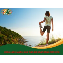 SỐNG LÀNH MẠNH KHIẾN CHỨC NĂNG NÃO HOẠT ĐỘNG TỐT HƠN