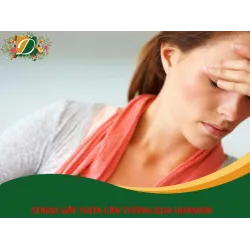 TẠI SAO STRESS CÓ THỂ KHIẾN BẠN THỪA CÂN: HORMON BIẾN CÁC TẾ BÀO BÌNH THƯỜNG THÀNH CHẤT BÉO NGUY HIỂM XUNG QUANH CƠ QUAN NỘI TẠNG