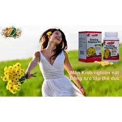 MÃN KINH ‘NGHIỀN NÁT ĐỘNG LỰC TẬP THỂ DỤC’ 