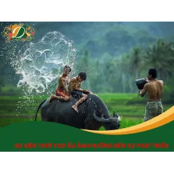 CÁC SỰ KIỆN THỜI THƠ ẤU ẢNH HƯỞNG ĐẾN SỰ PHÁT TRIỂN CỦA TRẺ  CẢ VỀ SỨC KHỎE THỂ CHẤT VÀ SINH LÝ