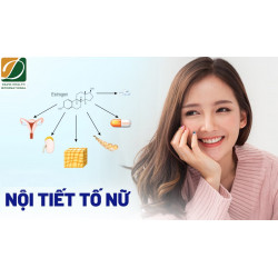 Nội Tiết Tố Nữ: Hiểu Mình Để Sống Hạnh Phúc
