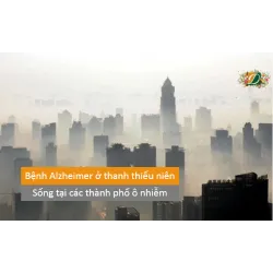 Bệnh Alzheimer ở thanh thiếu niên sống tại các thành phố bị ô nhiễm