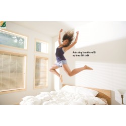 Ánh sáng làm thay đổi sự trao đổi chất.