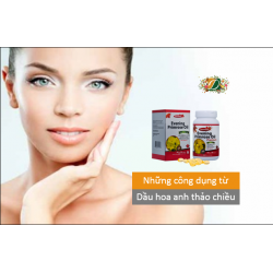 Những công dụng dầu Hoa anh thảo chiều