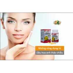 Những công dụng dầu Hoa anh thảo chiều