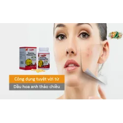 Công dụng tuyệt vời từ Dầu hoa anh thảo chiều