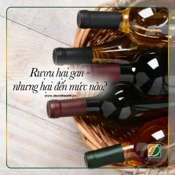 RƯỢU HẠI GAN - NHƯNG HẠI ĐẾN MỨC NÀO