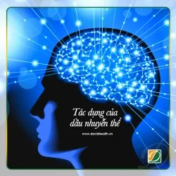 DẦU NHUYỄN THỂ TỐT HƠN DẦU CÁ