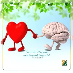 BỆNH ALZHEIMER - MỐI LIÊN HỆ GIỮA TIM VÀ NÃO
