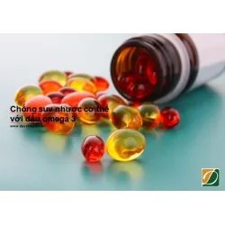 BỔ SUNG DẦU OMEGA 3 GIÚP CƠ THỂ CHỐNG SUY NHƯỢC
