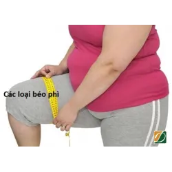 CÁC LOẠI BÉO PHÌ