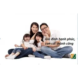 LỢI ÍCH VIỆC ĐẠP XE VÀ ĐI BỘ ĐƯỜNG PHỐ