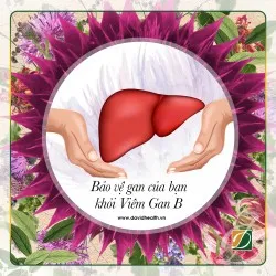 HEPATITIS B - BỆNH VIÊM GAN B