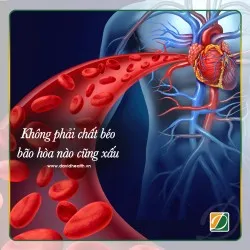 8 LÝ DO KHÔNG PHẢI LO LẮNG KHI ĂN CHẤT BÉO BÃO HÒA