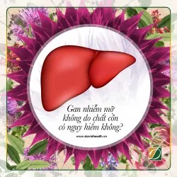 BỆNH GAN NHIỄM MỠ KHÔNG DO CHẤT CỒN