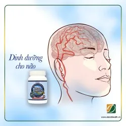 “TẨM BỔ” ĐÚNG CÁCH CHO TRÍ NÃO