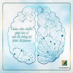 HƯỚNG ĐI MỚI TRONG VIỆC ĐIỀU TRỊ BỆNH ALZHEIMER