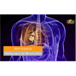 Bệnh ở phổi và những nguy hại đối với sức khỏe