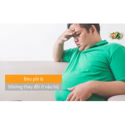 Béo phì dẫn đến những thay đổi ở não bộ