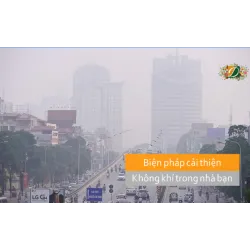 Những biện pháp đơn giản để cải thiện chất lượng không khí trong nhà
