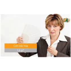 Cơn bốc hỏa là gì