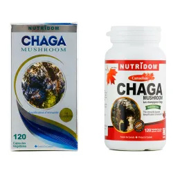 Những công dụng tuyệt vời từ Nấm Chaga
