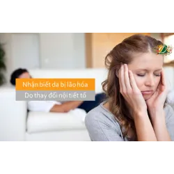 Nhận biết da bị lão hóa do thay đổi nội tiết tố