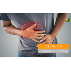 Dấu hiệu sớm khi gan bị tổn thương
