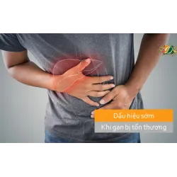 Dấu hiệu sớm khi gan bị tổn thương