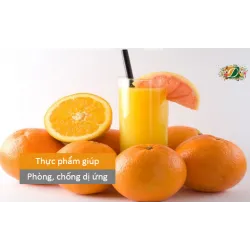 Thực phẩm giúp phòng, chống dị ứng