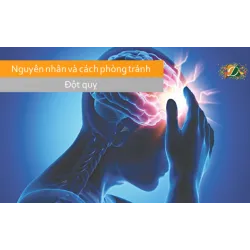 Nguyên nhân và cách phòng tránh đột quỵ