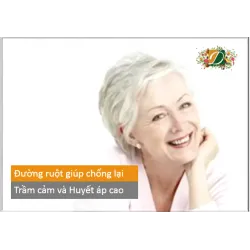 Đường ruột có thể giúp chống lại trầm cảm và huyết áp cao