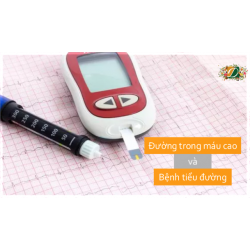 Lượng đường trong máu cao và bệnh tiểu đường