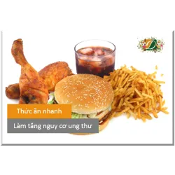 Thức ăn nhanh có thể làm tăng nguy cơ ung thư ở phụ nữ khỏe mạnh