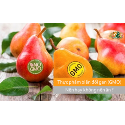 Thực phẩm biến đổi gen ( GMO ) có an toàn cho sức khỏe
