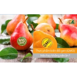 Thực phẩm biến đổi gen ( GMO ) có an toàn cho sức khỏe
