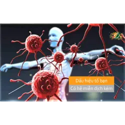Dấu hiệu tố bạn có hệ miễn dịch kém
