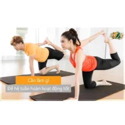 Làm gì để hệ tuần hoàn của bạn hoạt động tốt