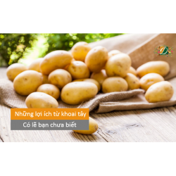 Những lợi ích từ khoai tây có lẽ bạn chưa biết