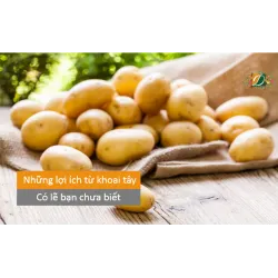 Những lợi ích từ khoai tây có lẽ bạn chưa biết