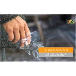 Tại sao khói thuốc lá dễ gây ung thư