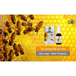 Tác dụng thật sự của Keo ong