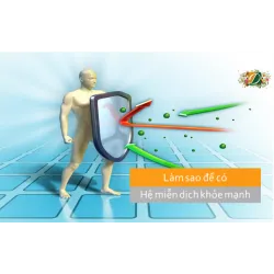 Làm sao để có hệ miễn dịch khỏe mạnh