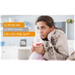 Lý do tại sao cơ thể của bạn luôn cảm thấy lạnh
