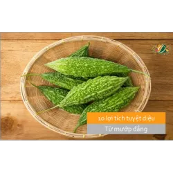 10 lợi ích tuyệt diệu từ mướp đắng